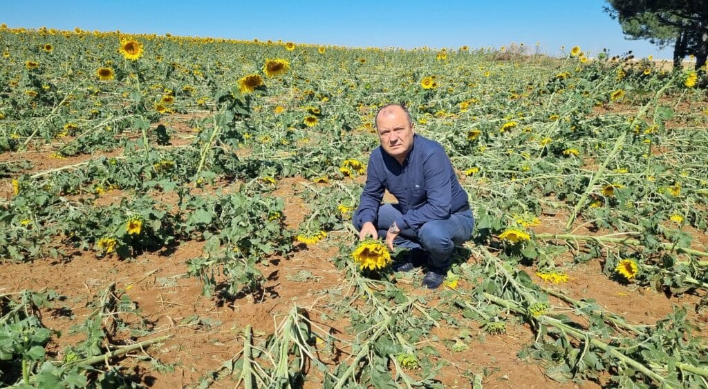 CHP Tekirdağ Vekili Aygun, dolu zararı olan alanları gezdi:  “TARSİM’li olmayan çiftçinin zararı da karşılansın!”