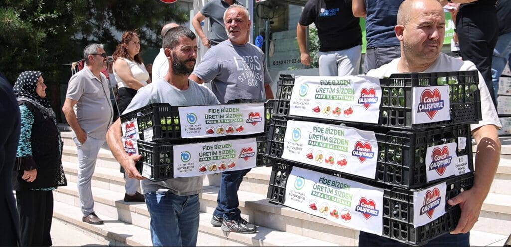 BÜYÜKŞEHİR’DEN ÜRETİCİLERE 104 BİN ADET KIŞLIK SEBZE FİDESİ
