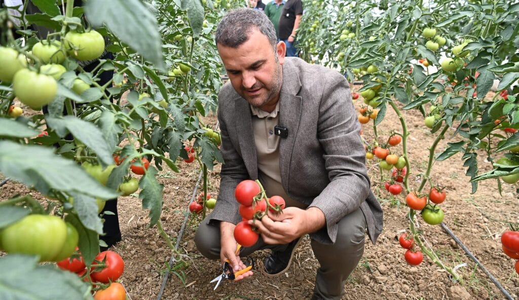 Süleymanpaşa Belediyesinden İhtiyaç Sahiplerinin Sofrasına Uzanan El
